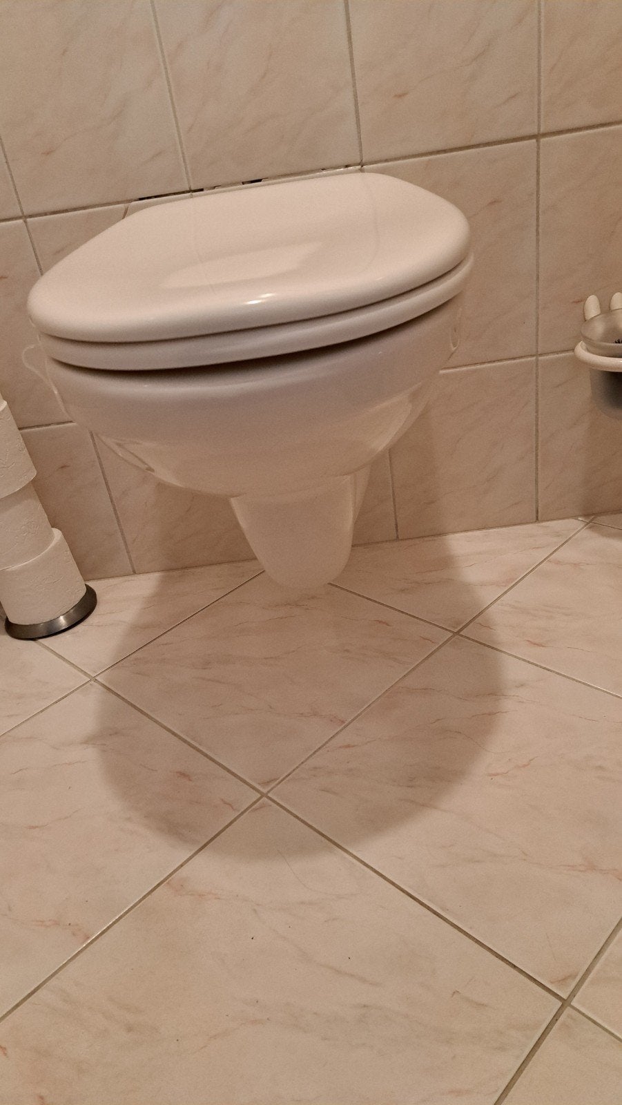 sfinx wc pot met deksel in goede staat kleur pergamon.wc pot, Ophalen of Verzenden, Gebruikt, Toilet