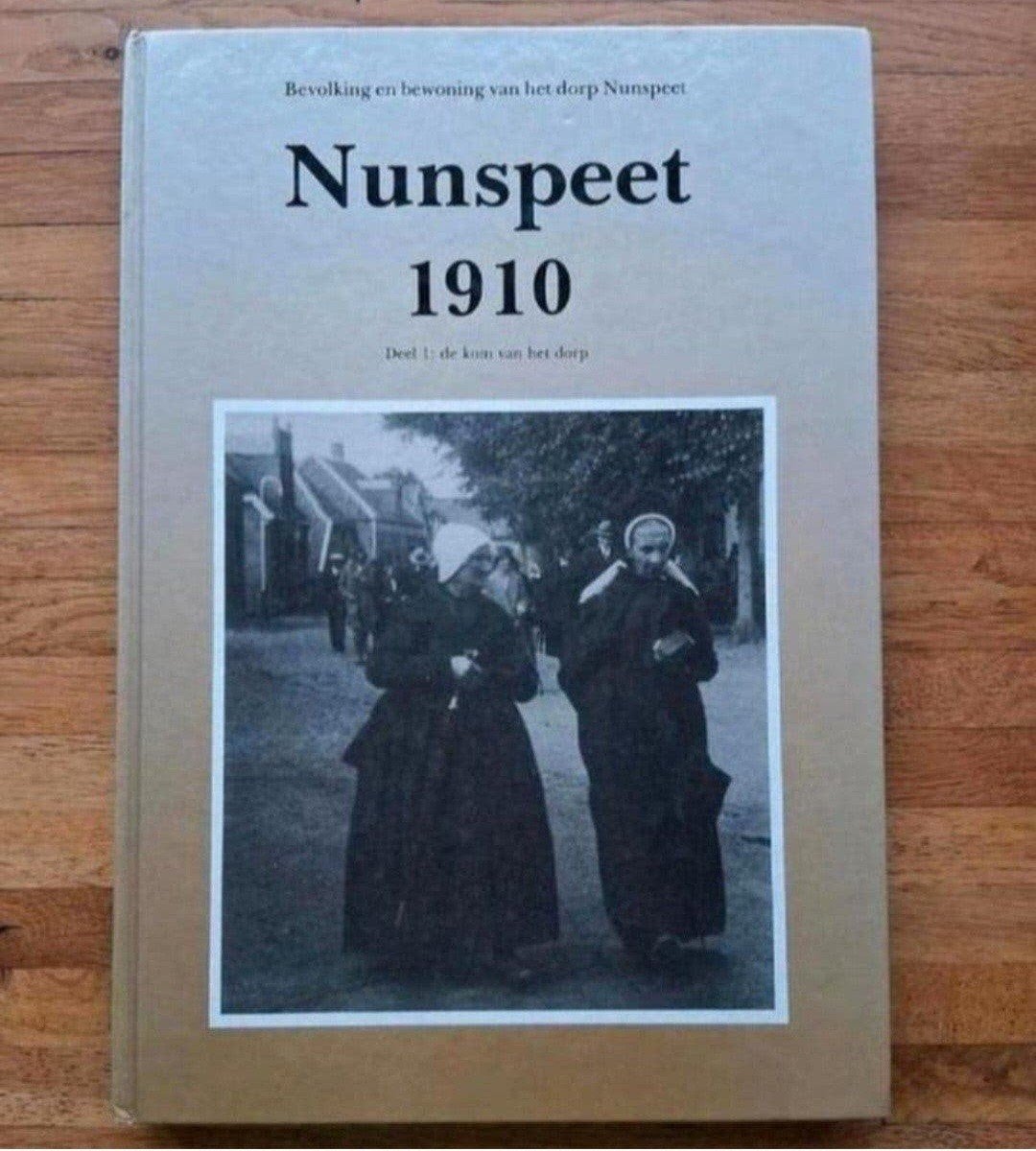 Nunspeet 1910 geschiedenis fotoboek en verhalen Heemkunde, Ophalen of Verzenden, Zo goed als nieuw