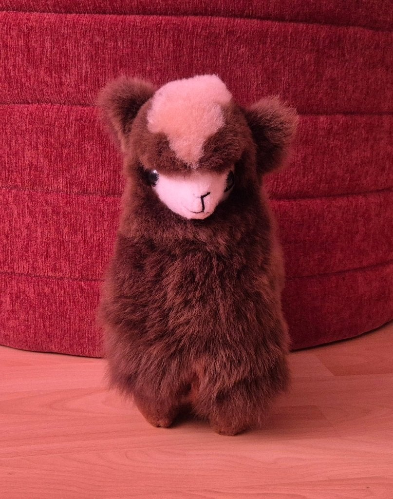 Alpaca knuffel, Ophalen, Overige typen, Zo goed als nieuw, Klein (minder dan 20 cm)