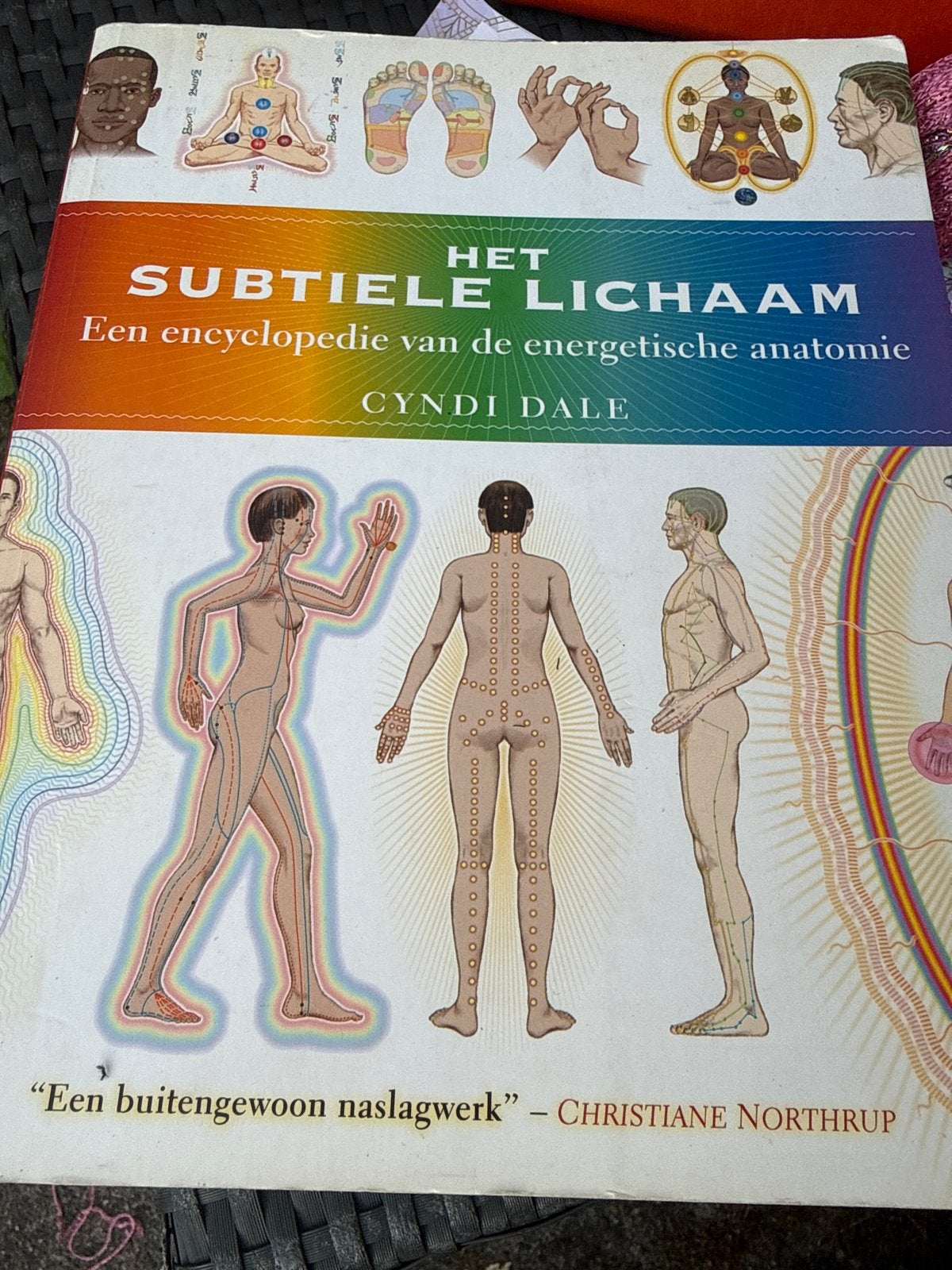 Het Subtiele Lichaam: Encyclopedie Energetische Anatomie, Ophalen of Verzenden, Gelezen, Spiritualiteit algemeen, Achtergrond en Informatie