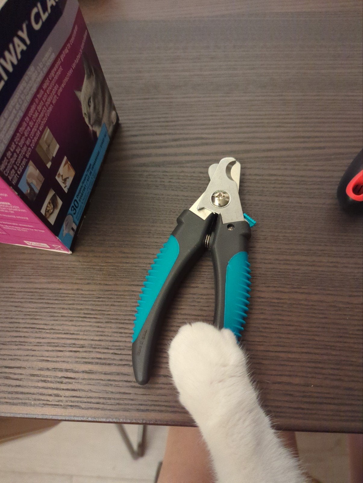 Nieuw - Trixie nagelschaar hond, Ophalen of Verzenden, Nieuw