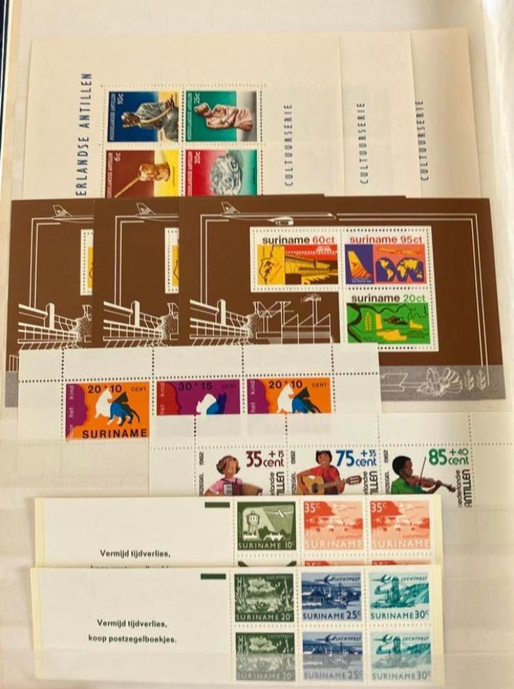 Suriname in importa edelweis 8 album en op losse bladen, Ophalen of Verzenden