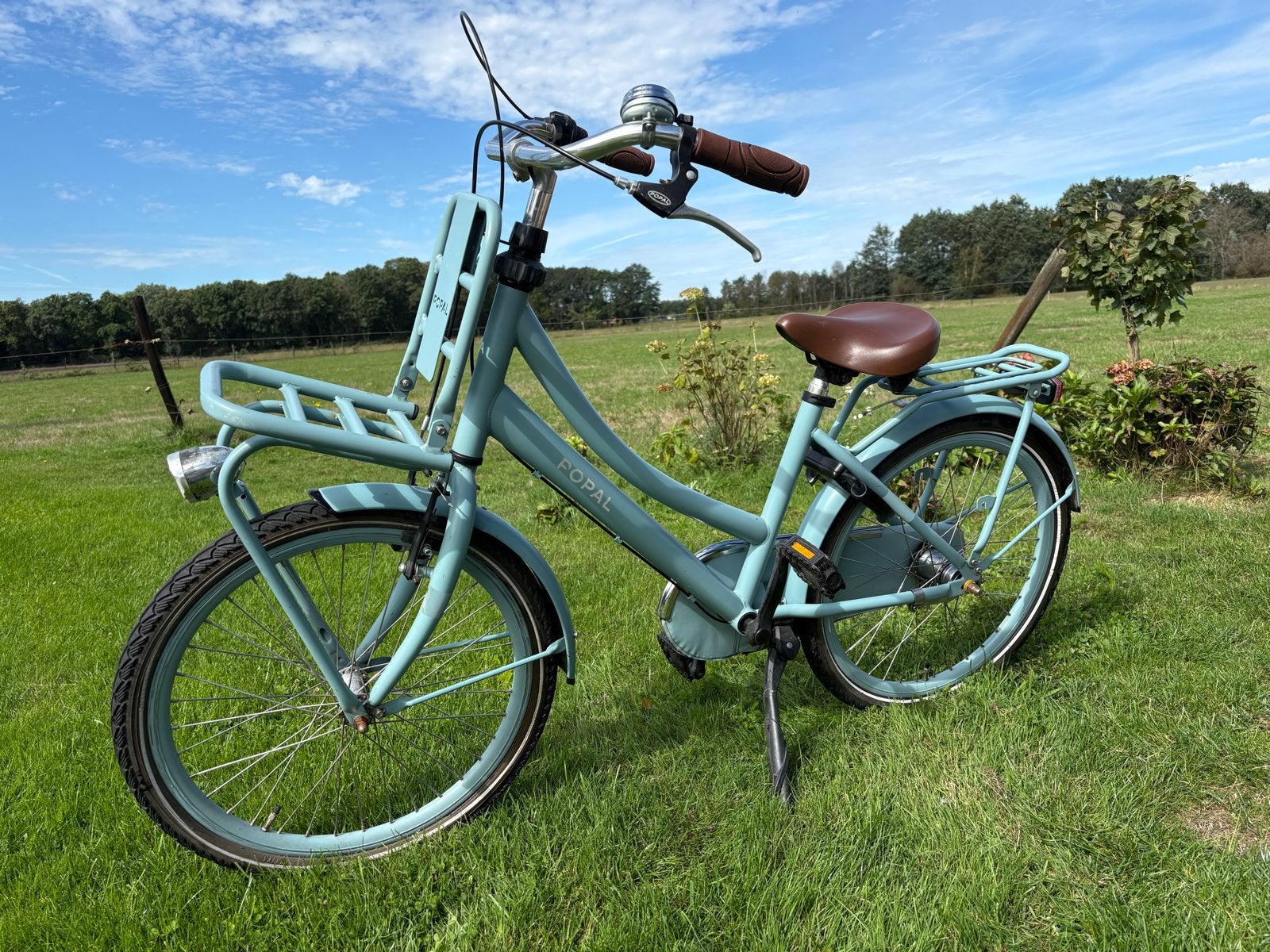 Popal Daily Dutch Meisjesfiets 22 inch, Ophalen, Gebruikt, Terugtraprem, Popal Daily Dutch