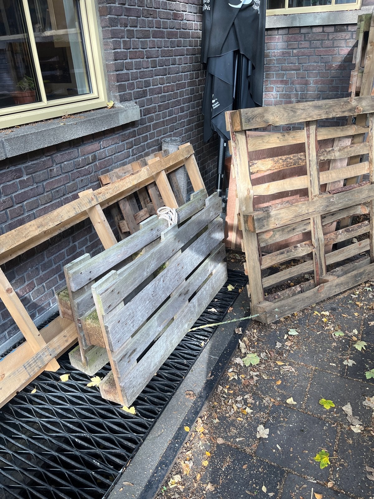 GRATIS 9 pallets verschillende maten, Ophalen