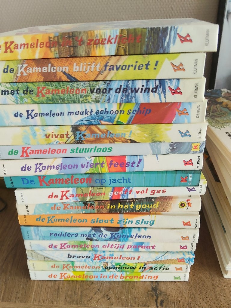 Kameleon boeken, Ophalen of Verzenden, Fictie, Gelezen, H roos