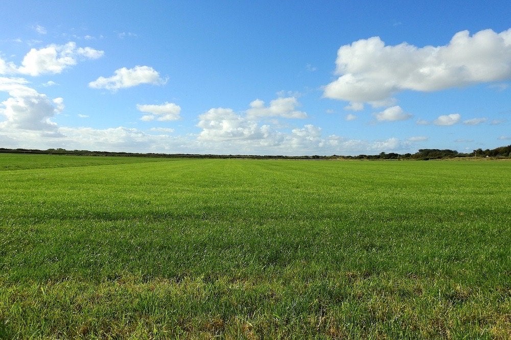 Gezocht grasland, Ophalen of Verzenden, 20 m² of meer, Gras