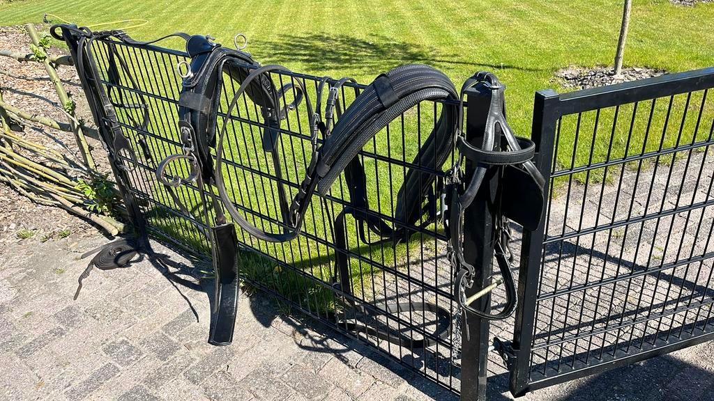 Tuig, paardentuig, rijtuig, Zo goed als nieuw, Marathonwagen, Paard