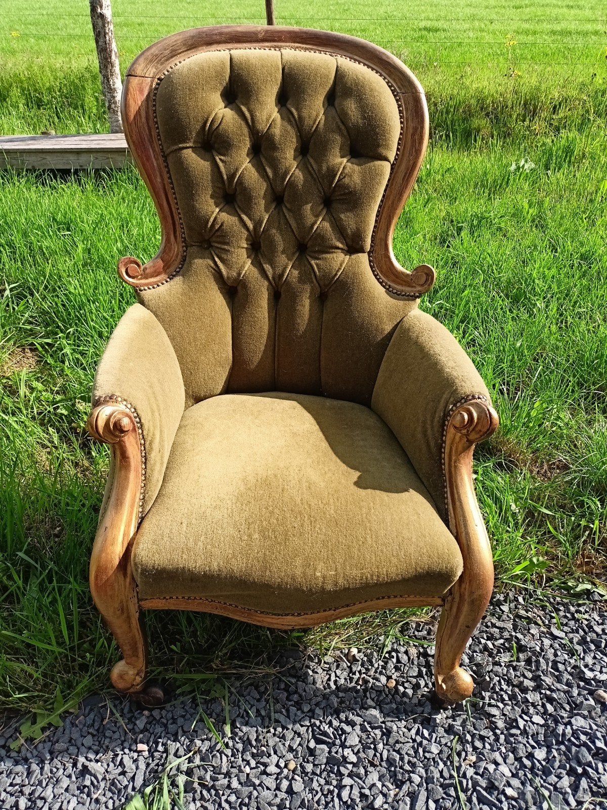 Antieke fauteuil in Lodewijk XVI-stijl, olijfgroen, Ophalen