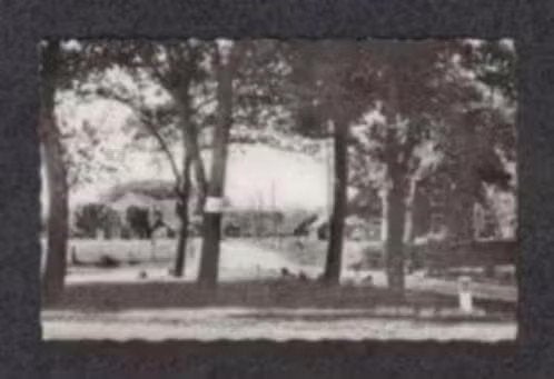 Drouwen Groeten uit Drouwen Boerderijen Brink., Ophalen of Verzenden, 1960 tot 1980, Gelopen, Drenthe