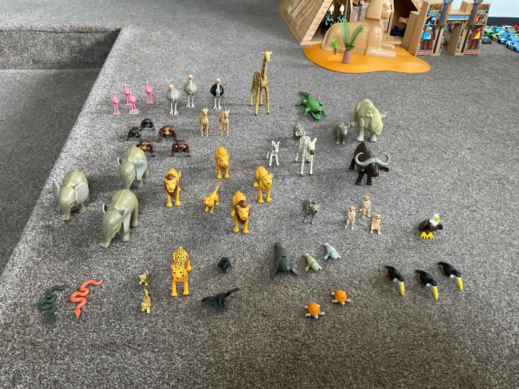 Diverse playmobil speelgoed savannedieren, Kinderen en Baby's, Speelgoed | Playmobil, Ophalen of Verzenden, Zo goed als nieuw