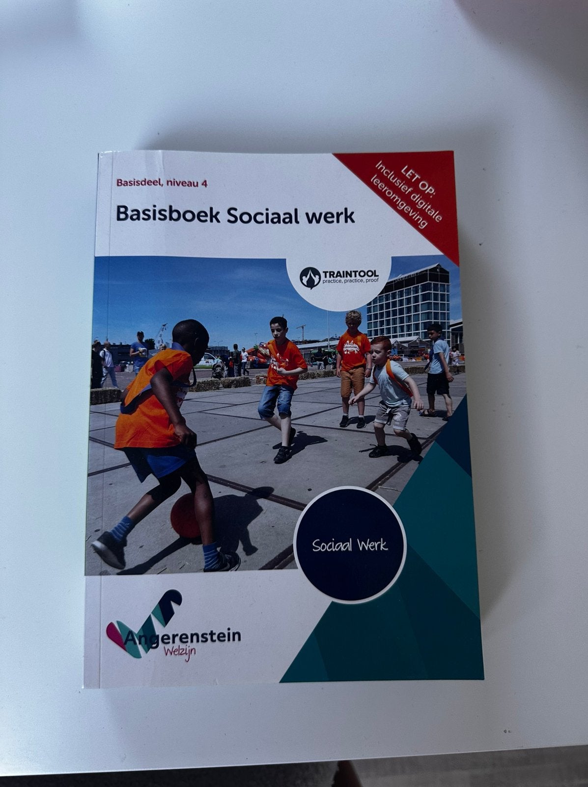 Basisboek sociaal werk, Boeken, Studieboeken en Cursussen, Ophalen of Verzenden, Alpha, Zo goed als nieuw, HBO