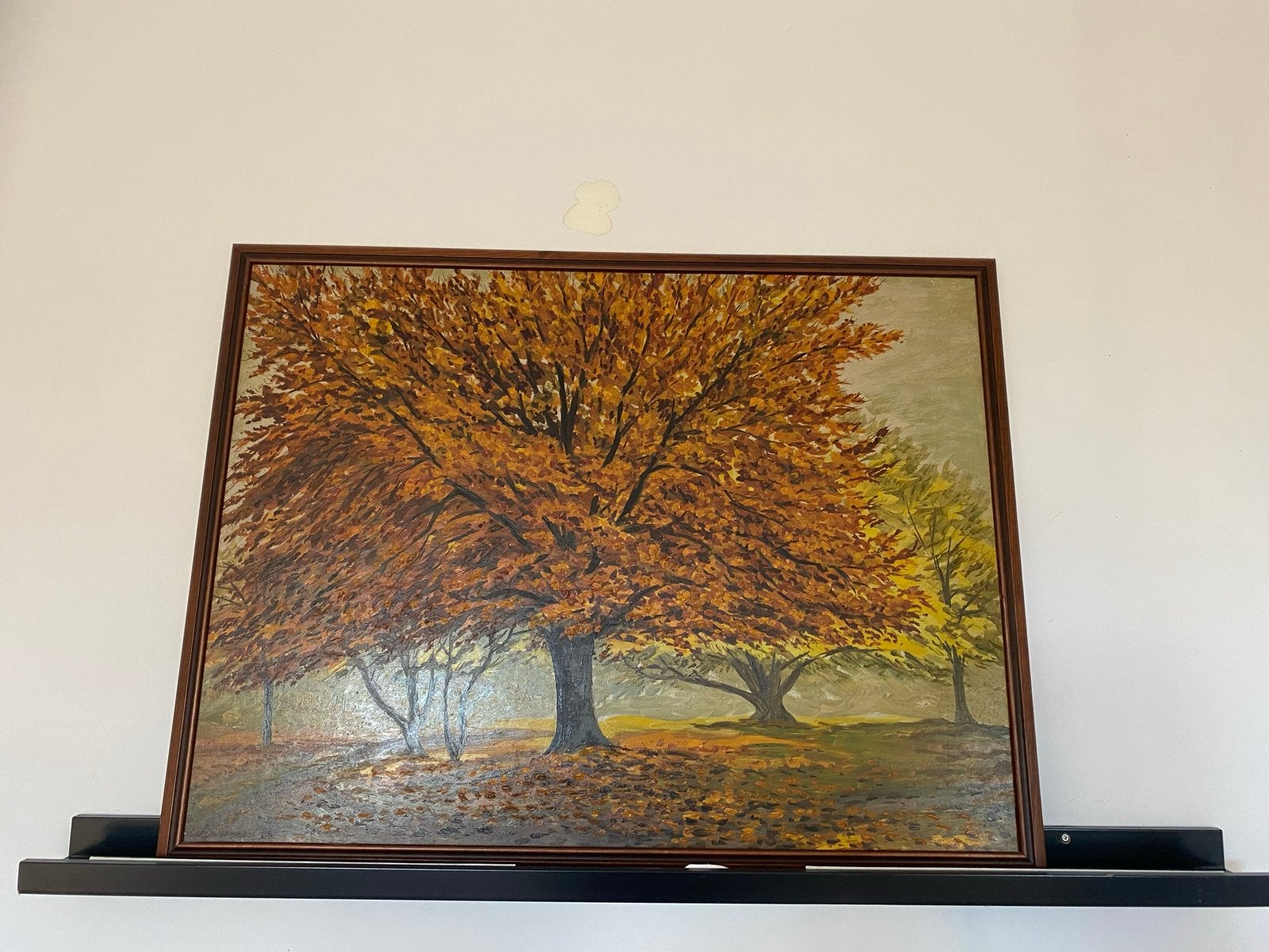 Schilderij van Jan Geusebroek Herfstbos  - Olieverf op Doek, Ophalen, Doek, Realistisch, Landschap