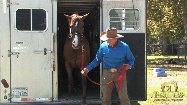 Monty Roberts Lead Line 3,6m en 5,2m, Leadrope, Ophalen of Verzenden, Nieuw, Overige soorten