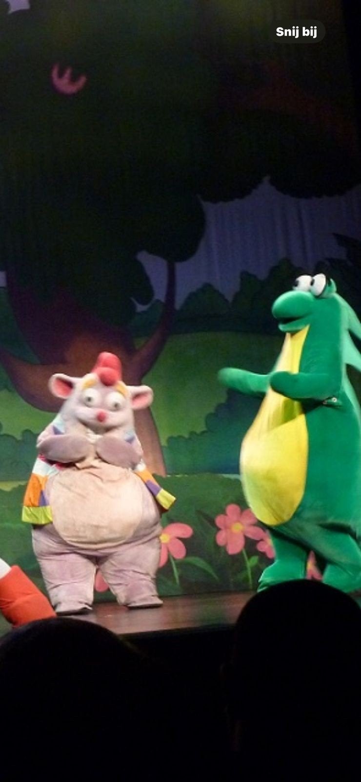 Mascotte Kostuums - Dora the Musical, Ophalen of Verzenden, Zo goed als nieuw