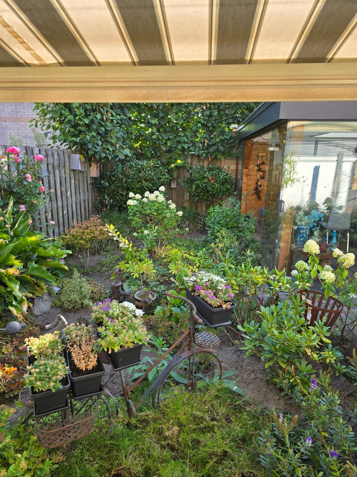 Tuinman heeft nog plek, Tuin en Terras, Overkappingen, Ophalen of Verzenden