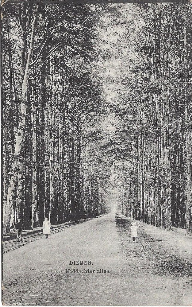 Dieren, Middachter allee, Volk, gelopen 1918. Nauta 4546, Ophalen of Verzenden, Voor 1920, Gelopen, Gelderland