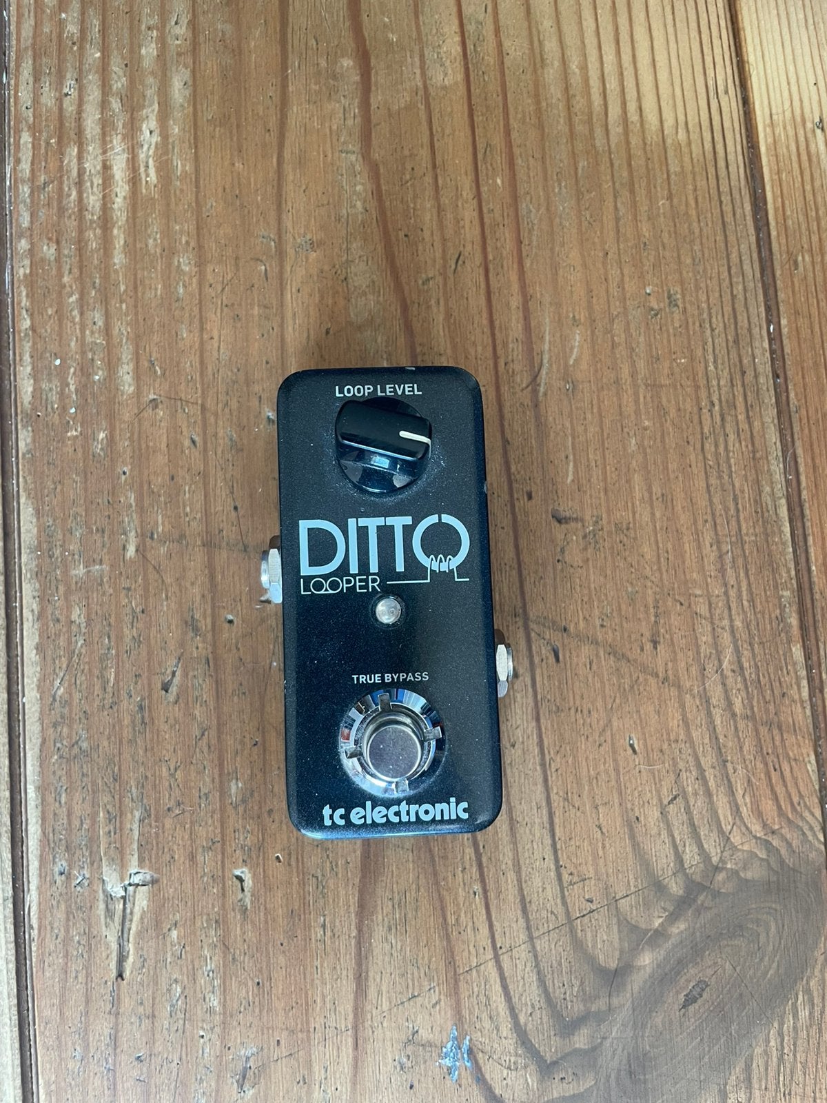 TC Electronic Ditto Looper – Gitaarpedaal, Muziek en Instrumenten, Effecten, Ophalen, Zo goed als nieuw
