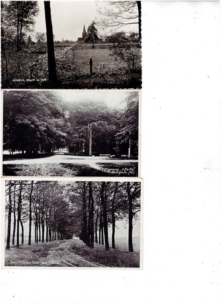 Oude Ansichtkaarten Hengelo (Gld.) - Wolter's Boekh., Verzamelen, Verzenden, 1940 tot 1960, Ongelopen, Gelderland