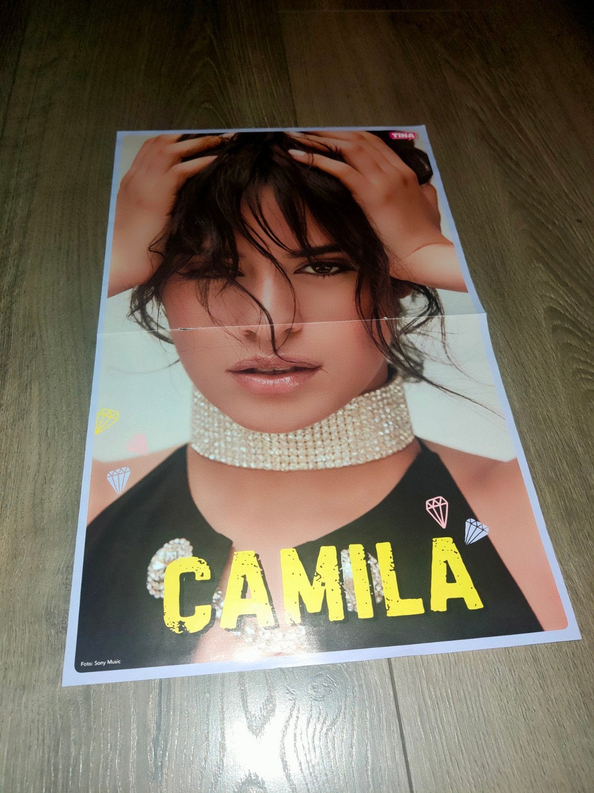 Tina - Camila Cabello Poster, Ophalen of Verzenden, Nieuw, A1 t/m A3