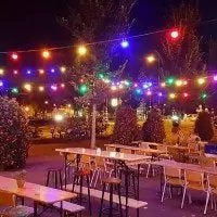 Te huur: Sfeervolle gekleurde lichtslinger voor buiten, Tuin en Terras, Buitenverlichting, Ophalen, Kunststof, Gebruikt, Minder dan 50 watt