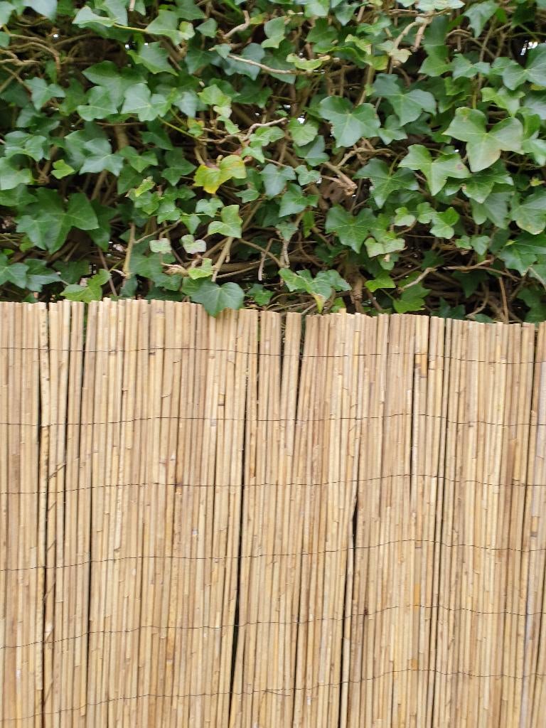 Rieten matten - rietrol  -rietmat -riet  -STUNTAANBIEDING!, Tuin en Terras, Tuinschermen, Ophalen, Overige materialen, 100 tot 150 cm