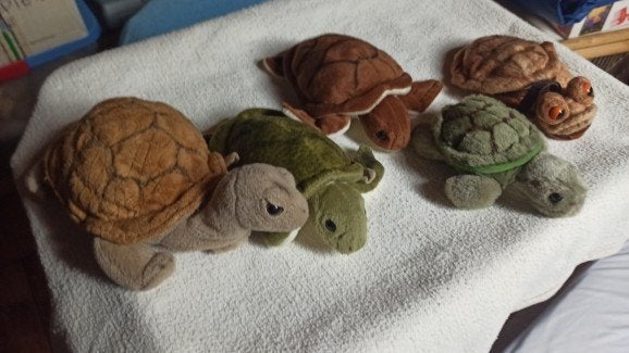 WNF Schildpadden / Schildpadden, Ophalen of Verzenden, Zo goed als nieuw, Overige typen