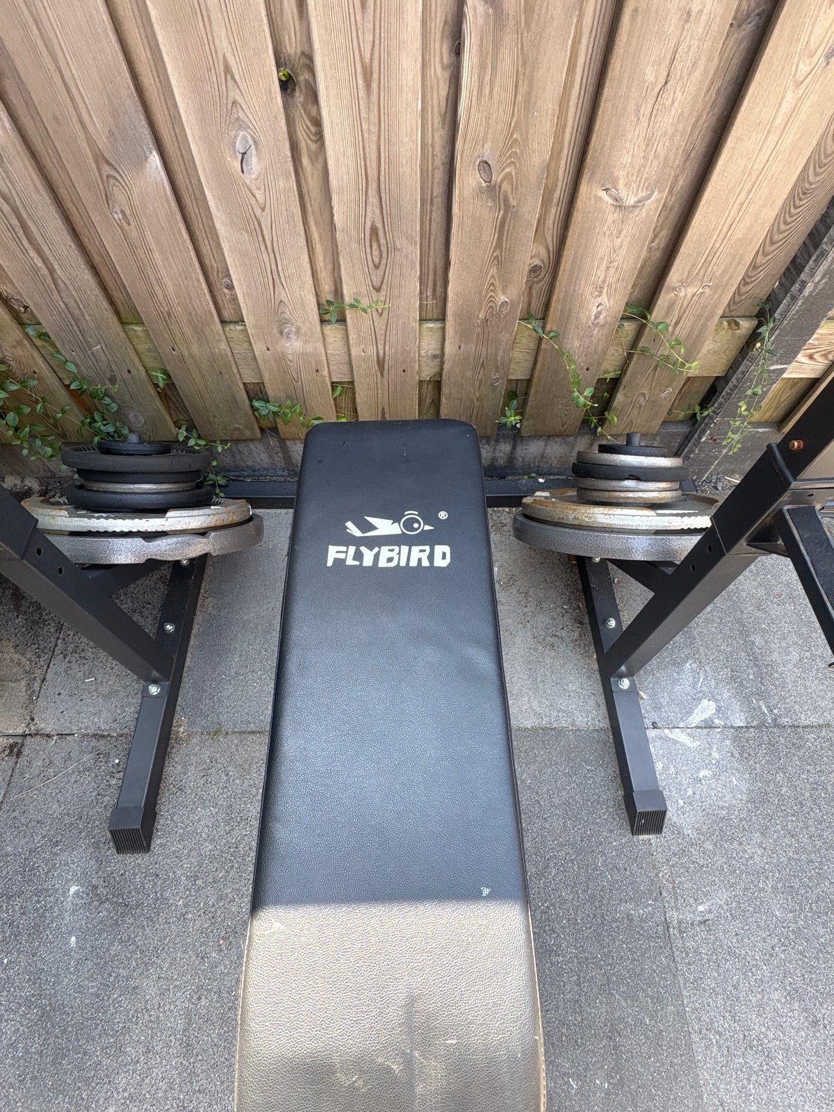 Flybird Fitnessbank met Halters en Gewichten, Sport en Fitness, Ophalen, Gebruikt, Armen, Fitnessbank