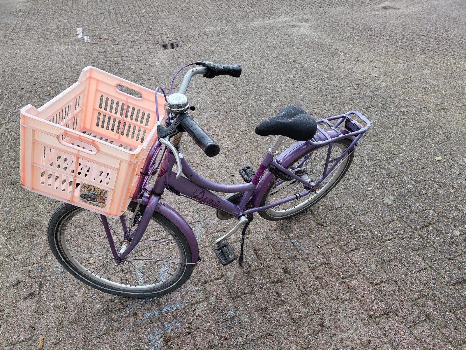 Batavus Diva kinderfiets met krat - 24 inch, Ophalen, Terugtraprem, Versnellingen, Batavus
