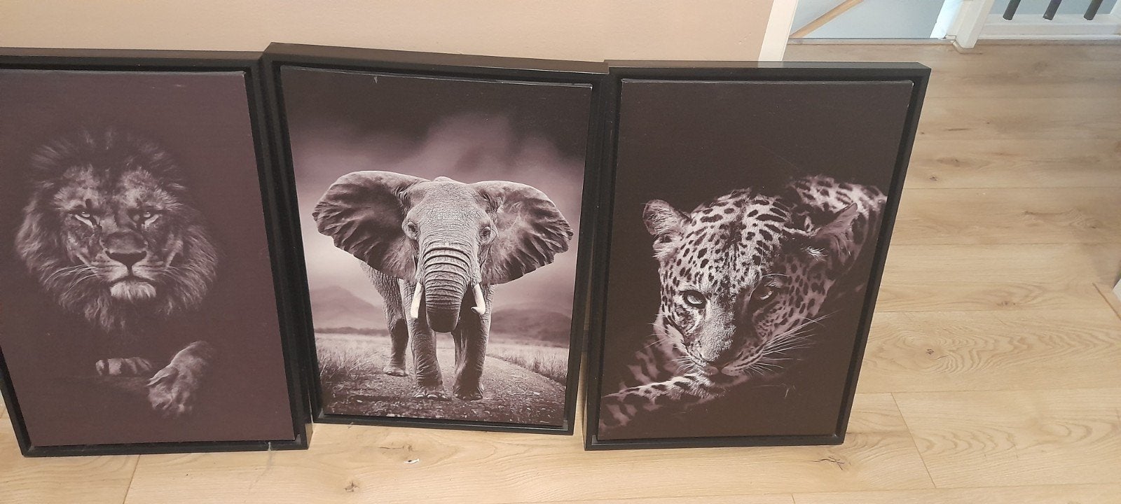 3 Dieren Canvas Schilderijen: Leeuw, Olifant, Luipaar, Ophalen, 50 – 75, Zo goed als nieuw, Schilderij
