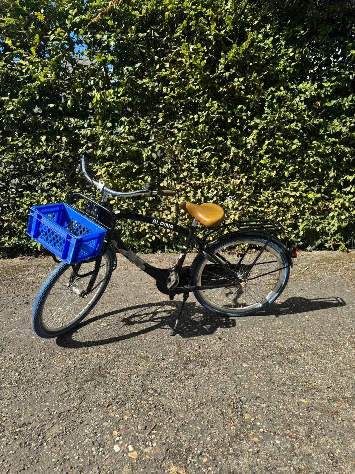 Alpina club 24 inch, Fietsen en Brommers, Ophalen, Zo goed als nieuw, 24 inch, Versnellingen