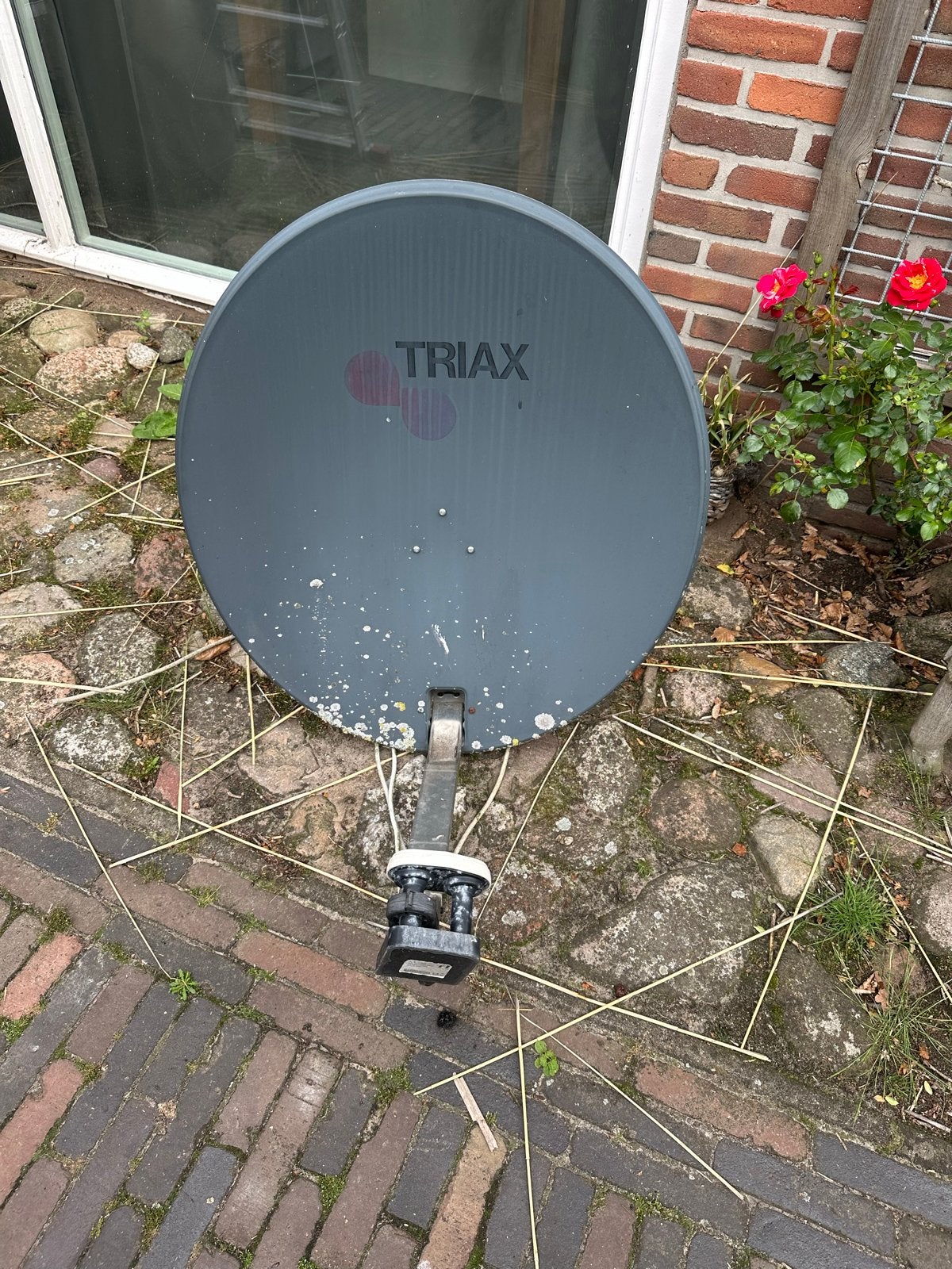 Triax schotelantenne met LNB, Ophalen of Verzenden, Gebruikt, (Schotel)antenne, Overige merken