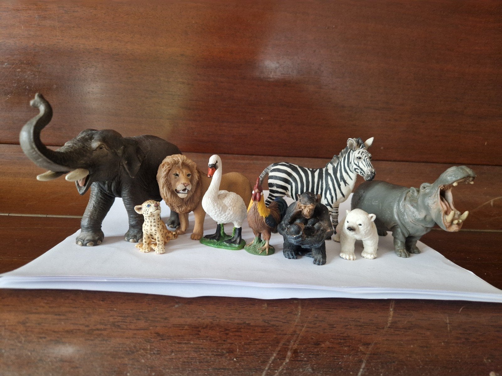 schleich set: Olifant, Leeuw, Zebra, Nijlpaard, Zwaan, Kat, Ophalen of Verzenden