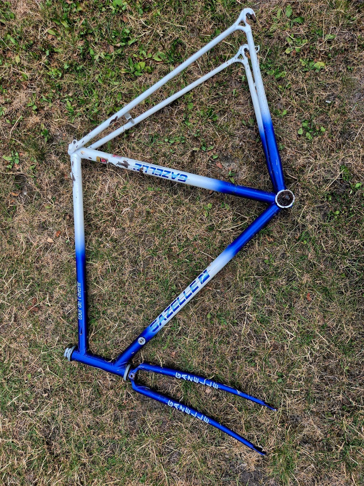 Stalen frame racefiets Gazelle, Ophalen, Frame, Gebruikt, Staal