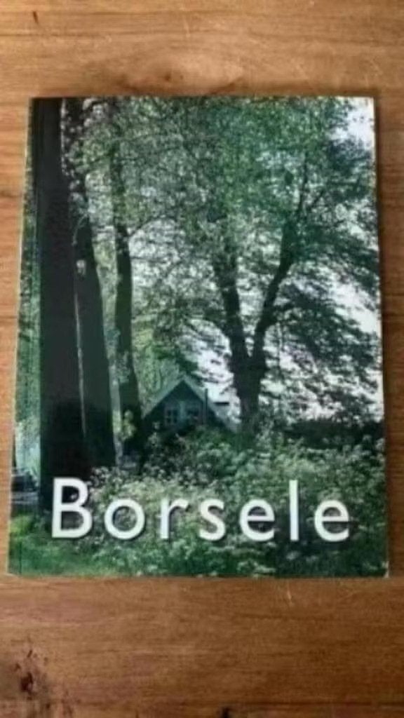 Borsele ( gemeente ) Jan de Ruiter .1993, Ophalen of Verzenden, Zo goed als nieuw