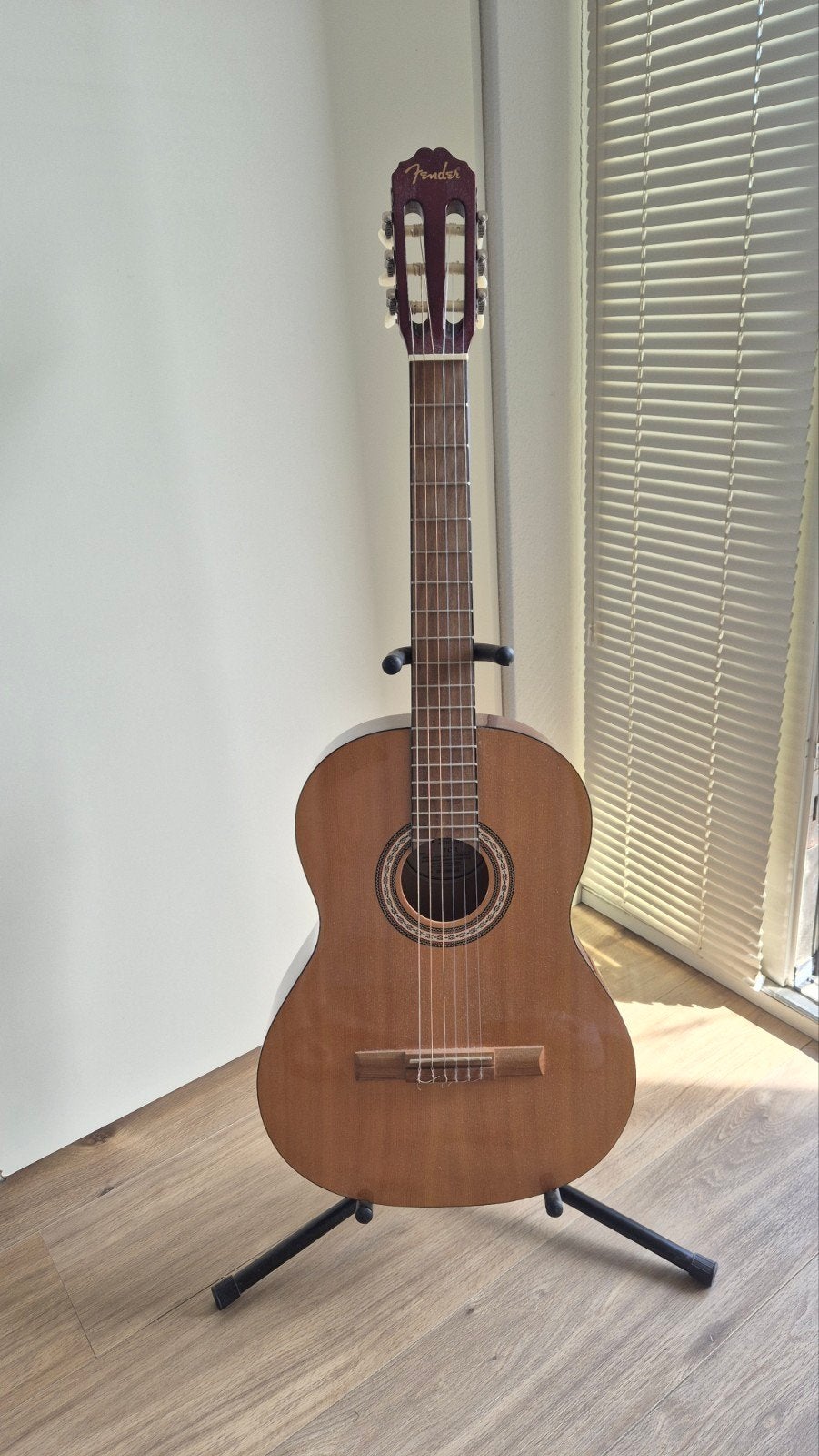 Gitaar Fender FC-1 incl standaard, Ophalen, Zo goed als nieuw, Western- of Steelstringgitaar