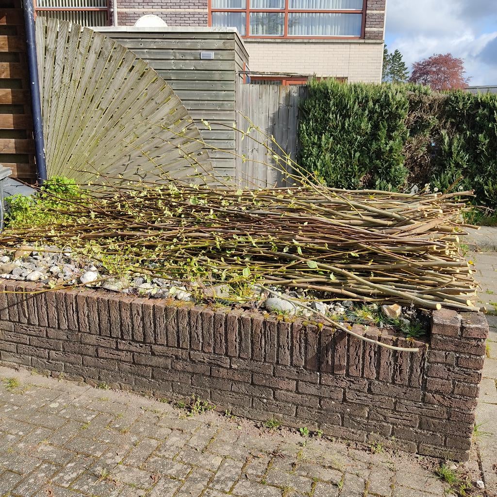 Gratis takken, Minder dan 3 m³, Ophalen, Takken