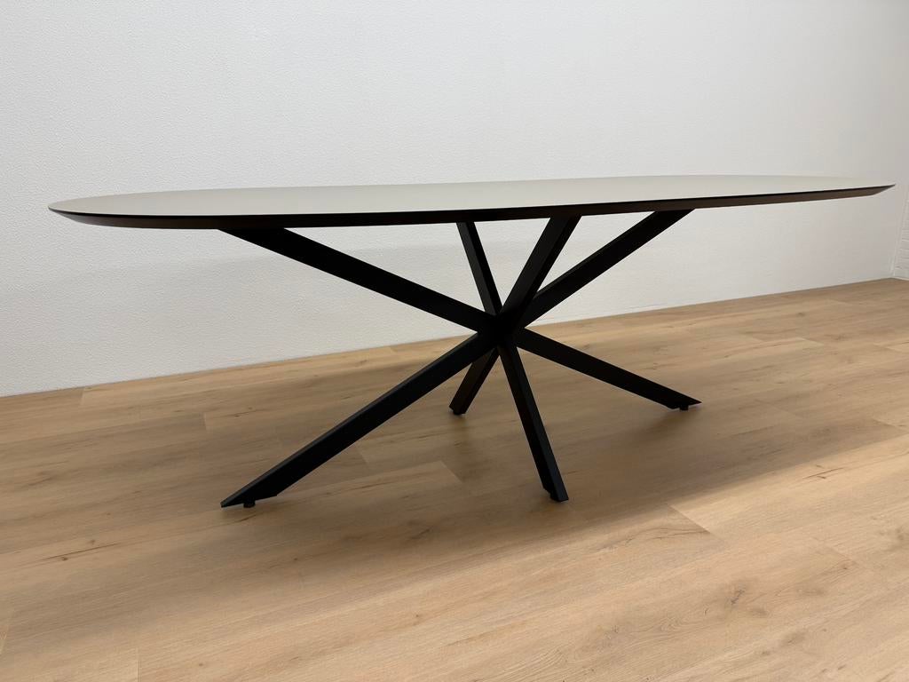 Plat ovale eettafel HPL 220x100 Beige - Direct Leverbaar, 100 tot 150 cm, 200 cm of meer, Ophalen of Verzenden, Zo goed als nieuw