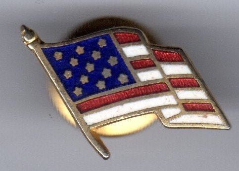 SCHROEFPIN VLAG USA VERENIGDE STATEN VAN AMERIKA EMAILLE, Verzamelen, Speldjes, Pins en Buttons, Ophalen of Verzenden, Gebruikt