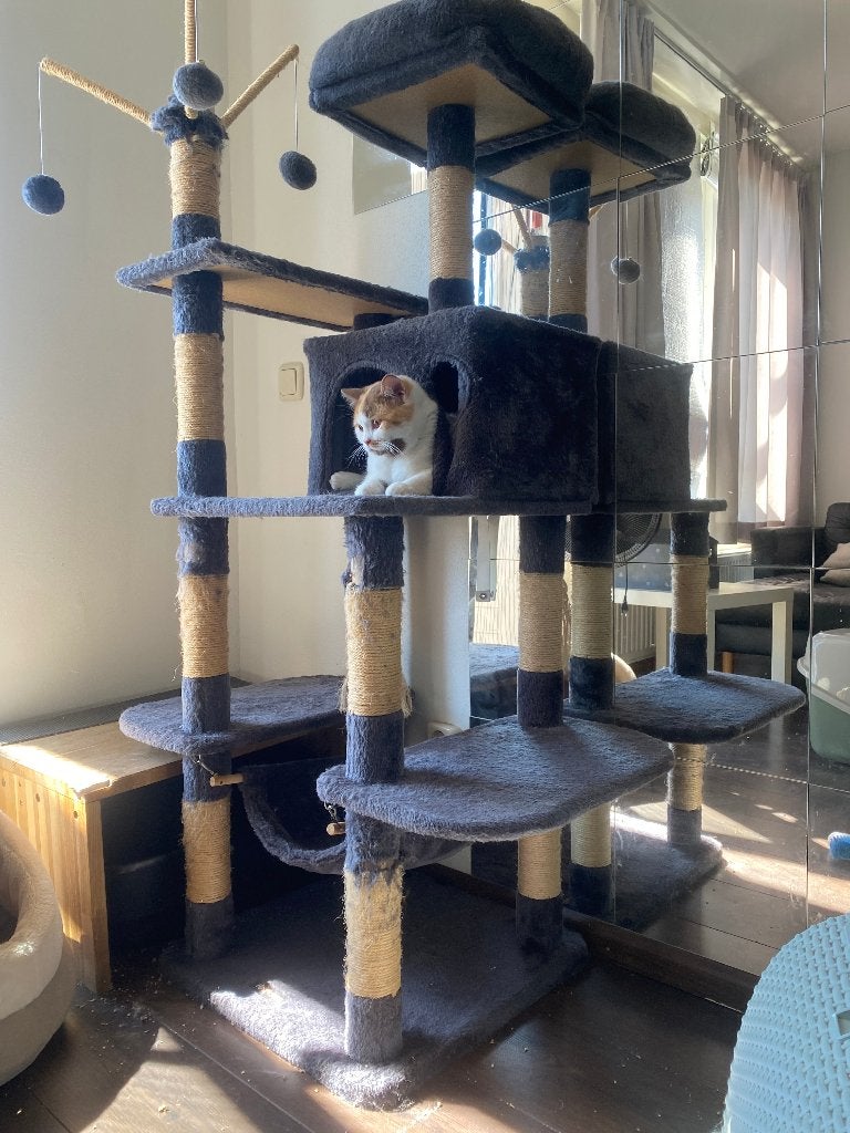 Krabpaal cat tree145cm scratching post  Kattenboom, Ophalen, Gebruikt, Krabpaal