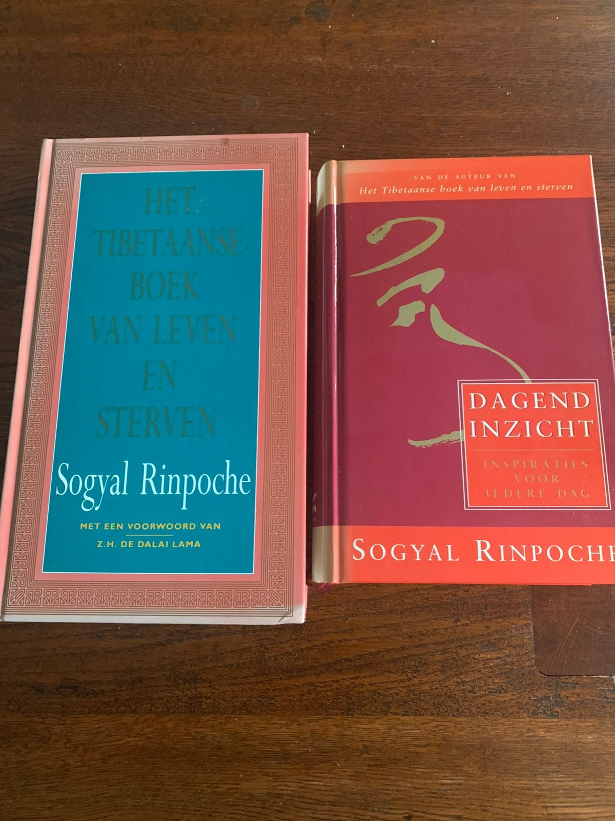 Sogyal Rinpocher- Het Tibetaanse boek van  + Dagend Inzicht, Boeken, Ophalen of Verzenden, Zo goed als nieuw