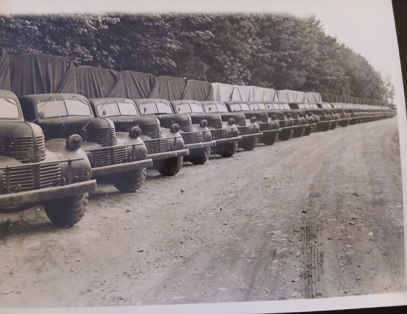 Britse Persfoto Dodge T-110 Wo2, Verzamelen, Militaria | Tweede Wereldoorlog, Ophalen of Verzenden, Engeland