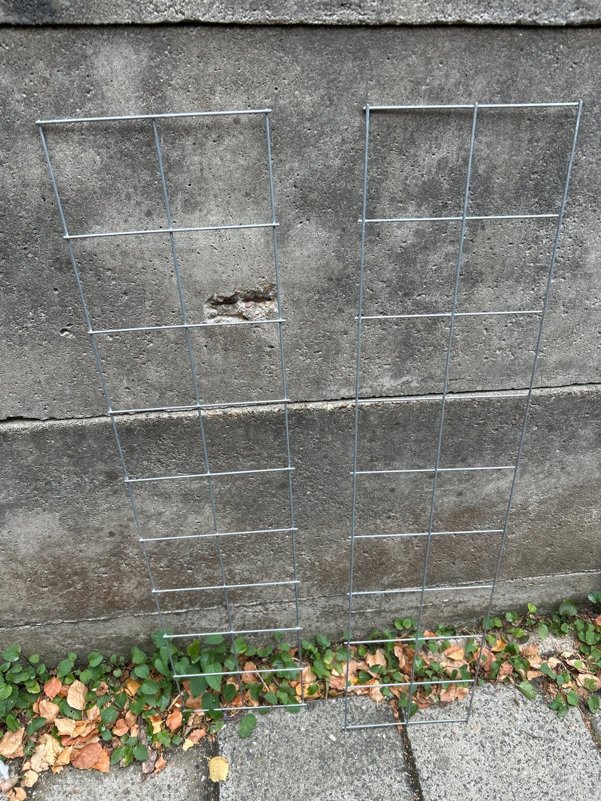 Tomaten klimrek 90x20 cm (2 stuks), Tuin en Terras, Ophalen, Fruitplanten