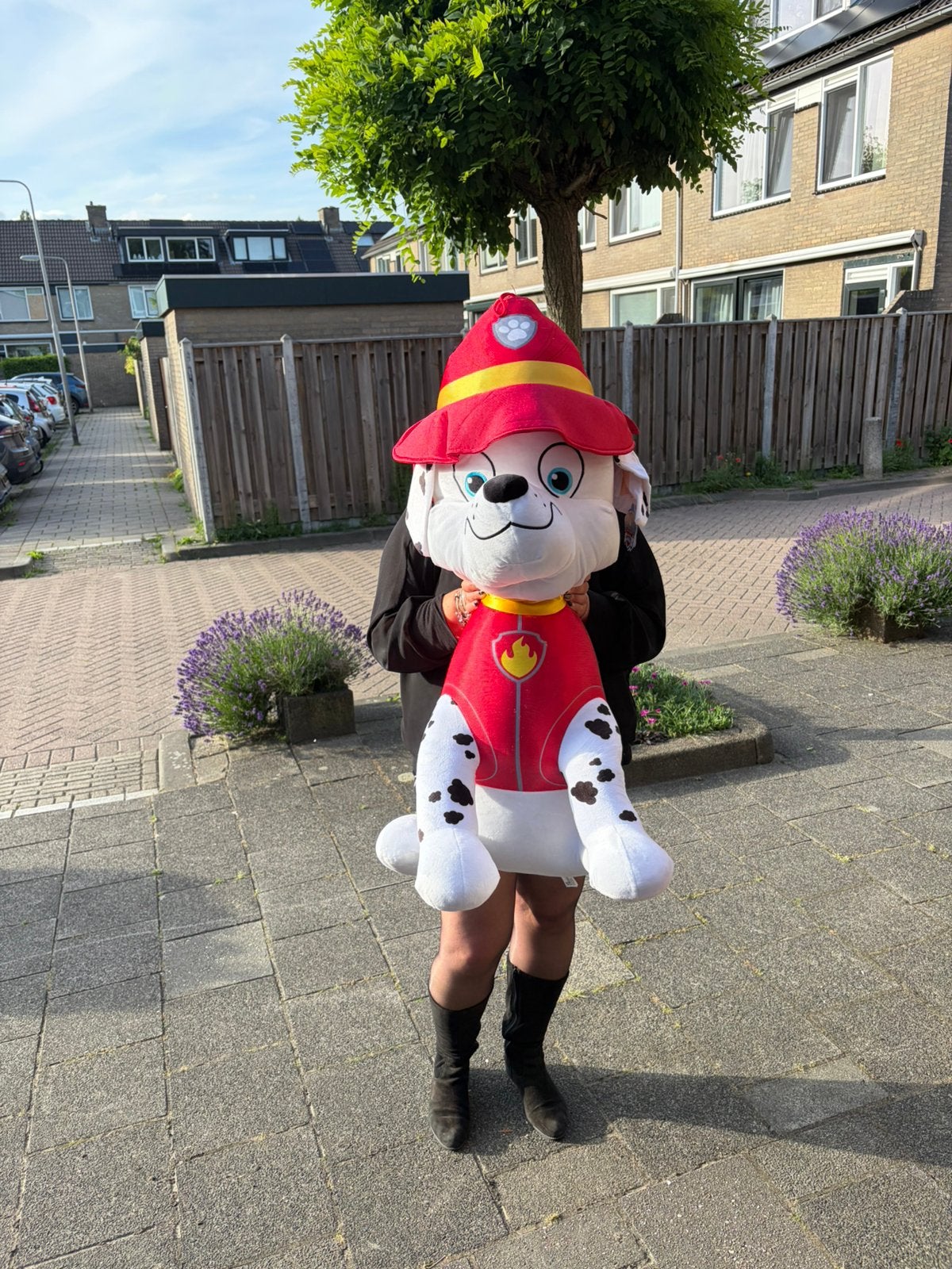 Marshall, Ophalen, Zo goed als nieuw