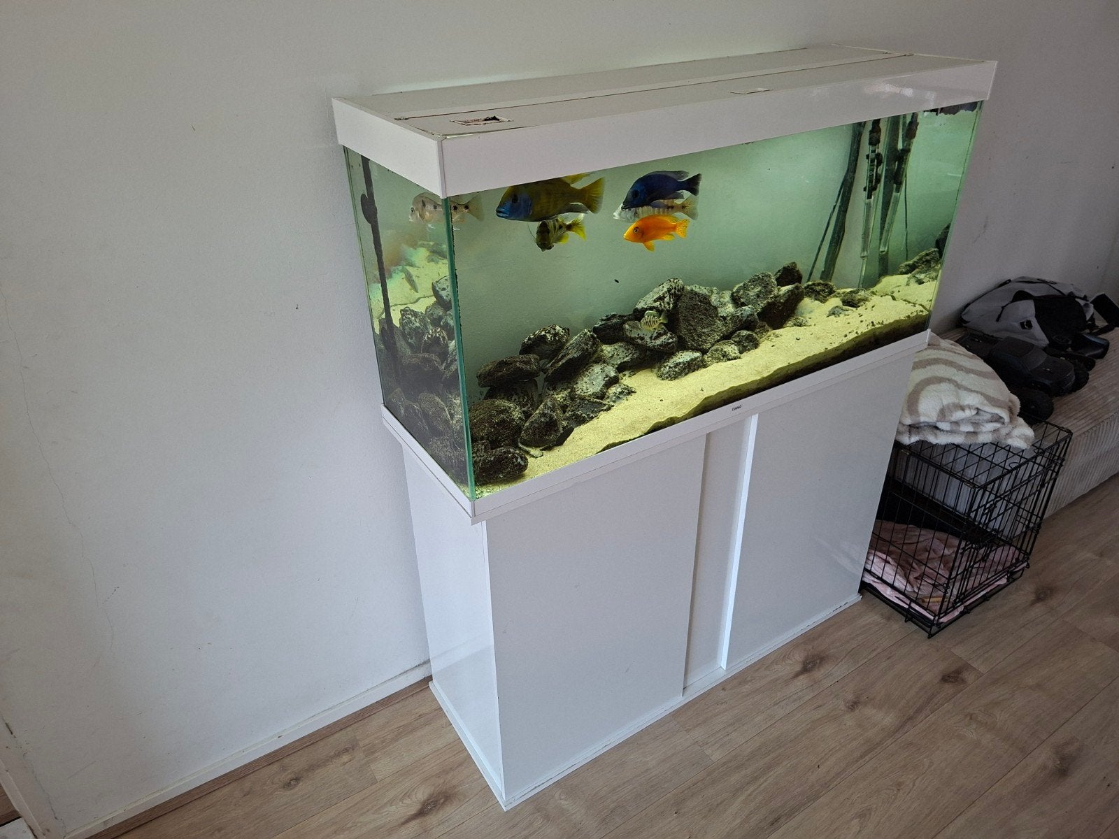 Ciano 120 aquarium, Dieren en Toebehoren, Vissen | Aquaria en Toebehoren, Ophalen of Verzenden