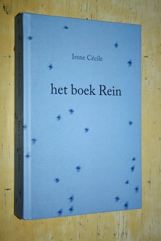 Het boek Rein Irene Cecile psychose hulpverlening, Boeken, Ophalen of Verzenden, Zo goed als nieuw