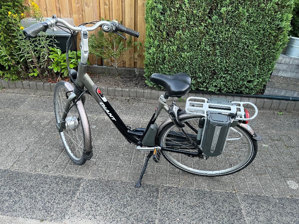 Giant E bike, Ophalen of Verzenden, Gebruikt, Overige merken