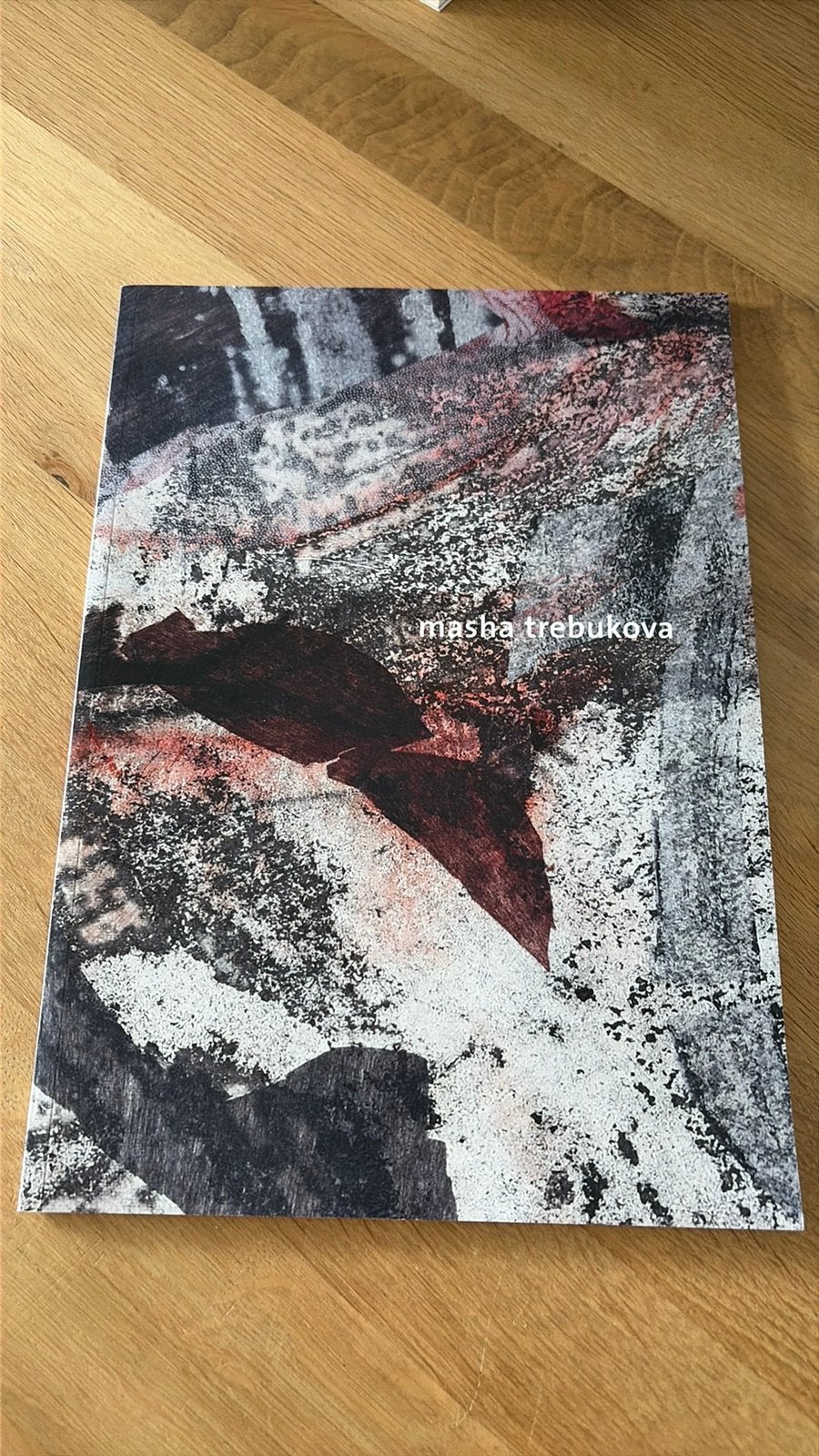 Masha Trebukova, Ophalen of Verzenden, Gelezen, Schilder- en Tekenkunst