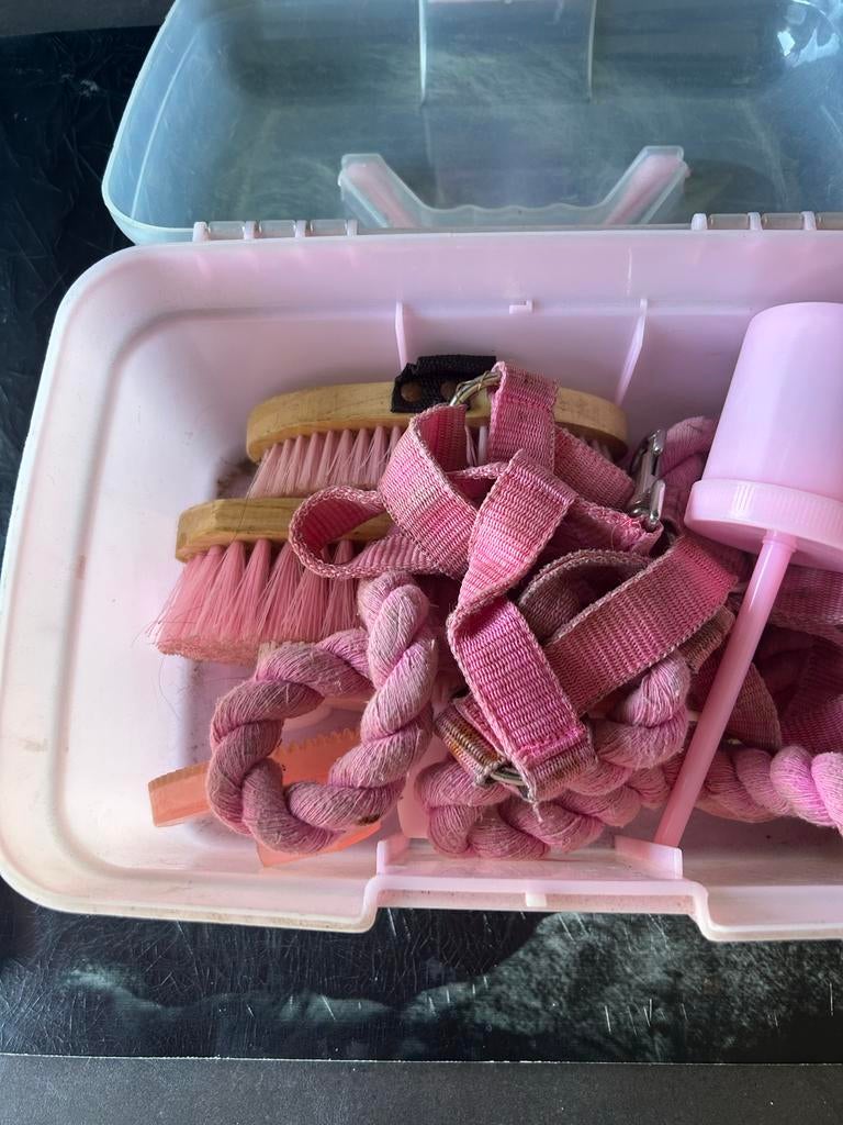 Koffer met borstels voor paarden, Ophalen of Verzenden, Overige soorten