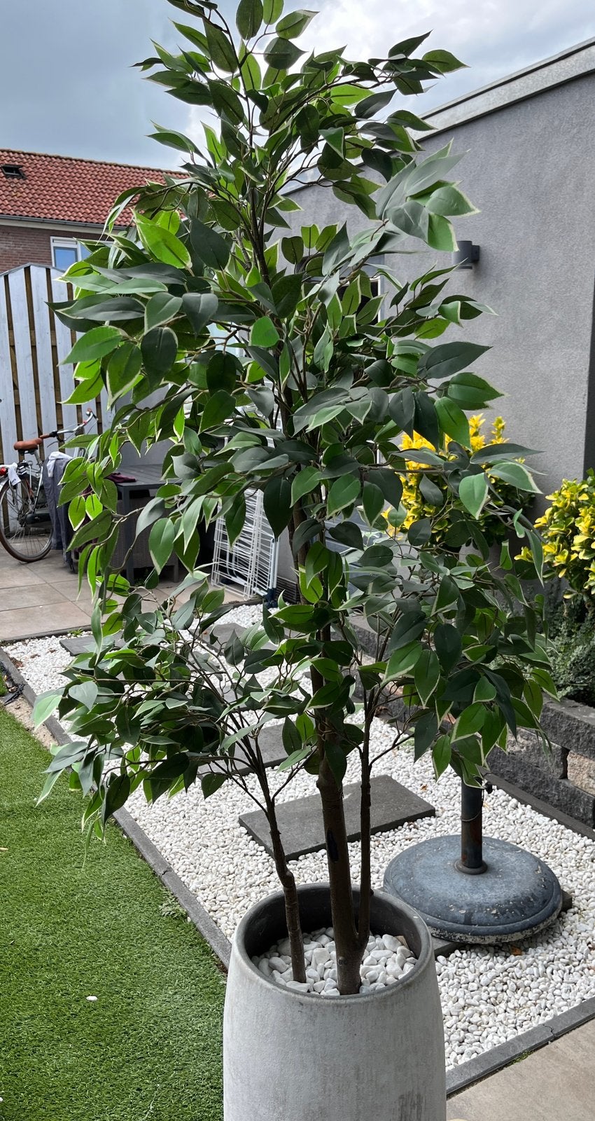 Kunstplant Fejka Ficus met pot, Ophalen, Kunstplant, Kunststof, IKEA