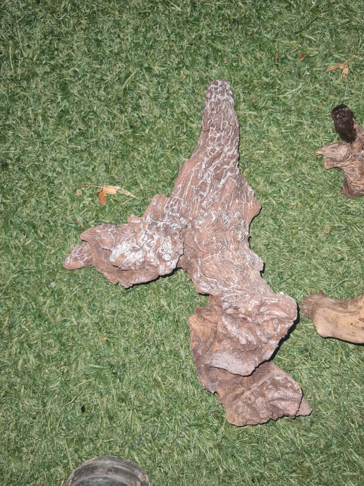 Aquarium ornamenten hout, Ophalen of Verzenden, Plant(en), Steen of Hout